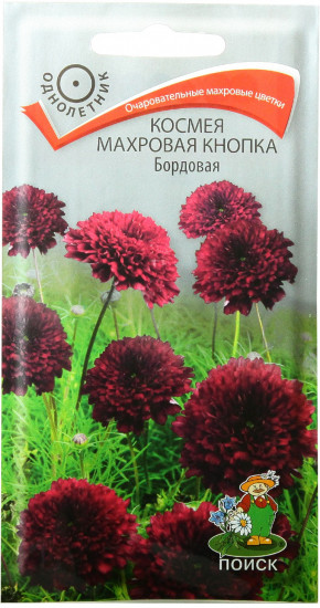 Космея «Махровая кнопка. Бордовая»