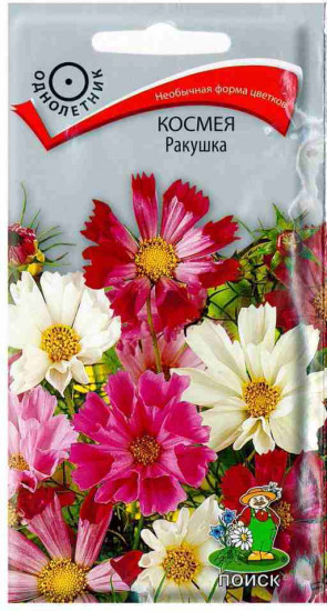 Космея «Ракушка»