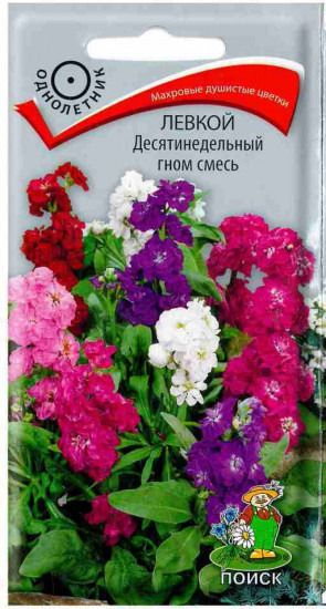 Левкой «Десятинедельный гном смесь»
