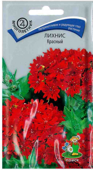 Лихнис «Красный»