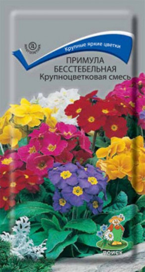 Примула бесстебельная «Крупноцветковая смесь»