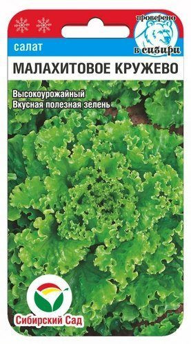 Салат «Малахитовое кружево»