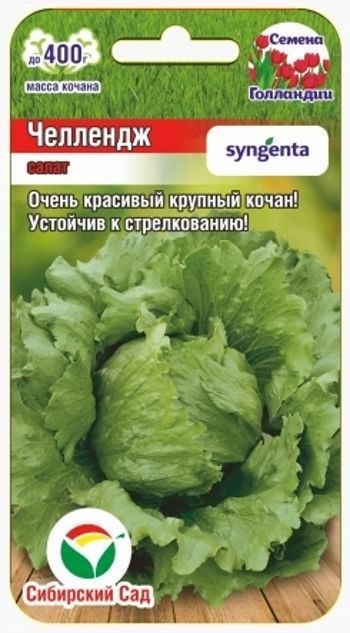 Салат «Челлендж» | Сибирский Сад