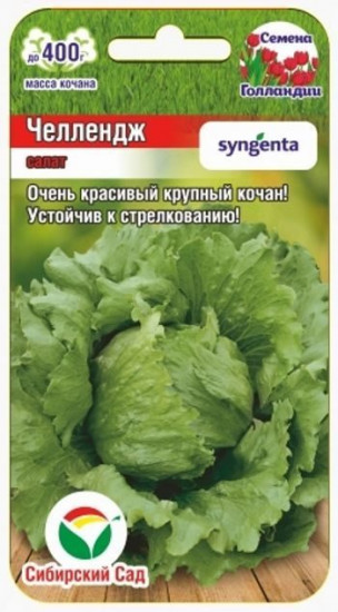Салат «Челлендж»