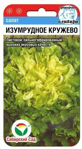 Салат «Изумрудное кружево»