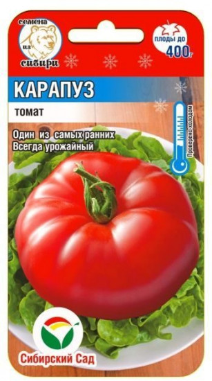 Томат «Карапуз»