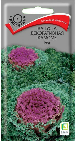 Капуста декоративная «Камоме ред»