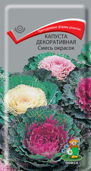 Капуста декоративная «Смесь окрасок»
