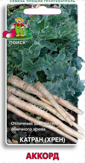 Катран «Аккорд»