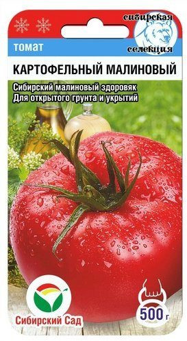 Томат «Картофельный малиновый»