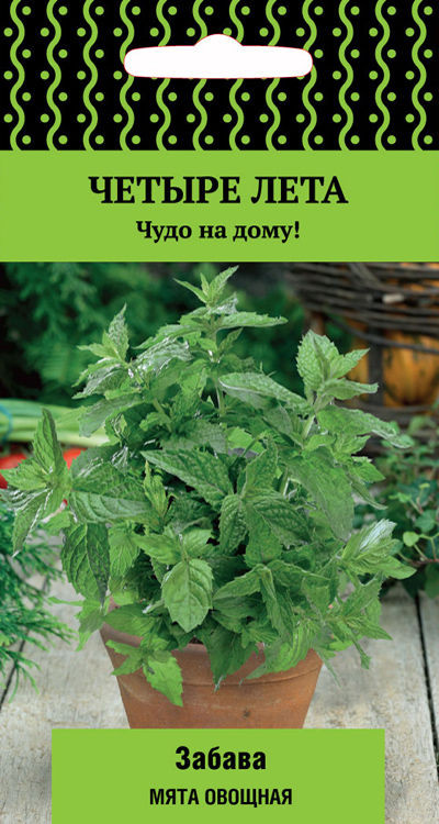 Мята овощная «Забава» | Поиск