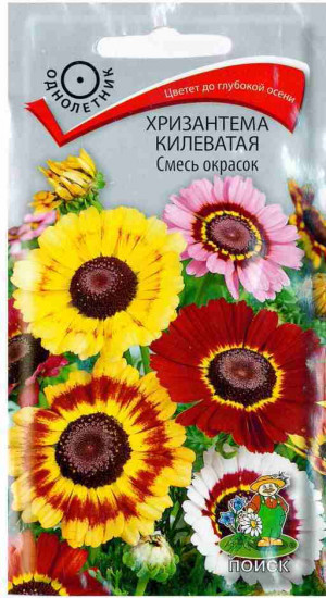 Хризантема «Смесь окрасок килеватая»