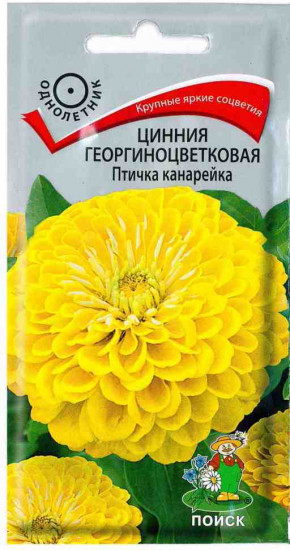 Цинния «Птичка канарейка георгиноцветковая»