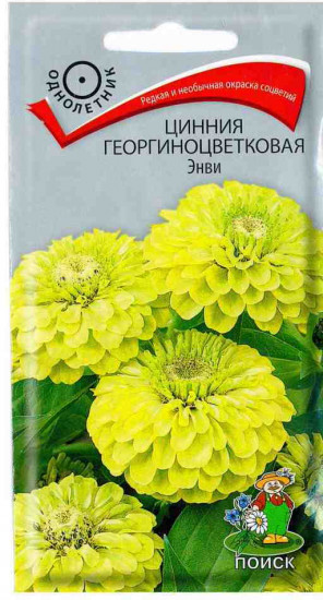 Цинния «Энви георгиноцветковая»