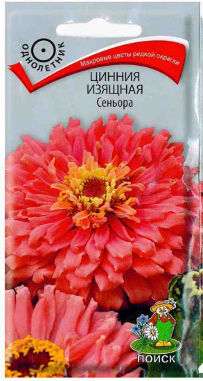 Цинния «Сеньора изящная»