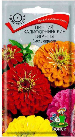 Цинния «Калифорнийские гиганты, смесь окрасок»