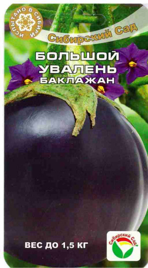 Баклажан «Большой увалень»