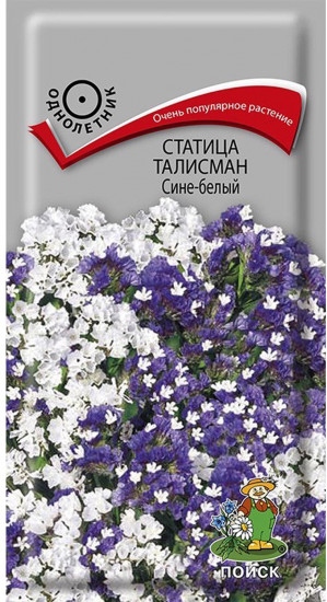 Статица «Талисман сине-белый»