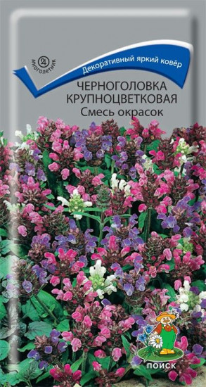 Черноголовка крупноцветковая «Смесь окрасок»
