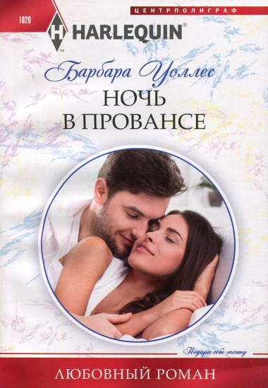 Ночь в Провансе