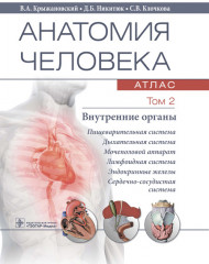 Анатомия человека. Том 2
