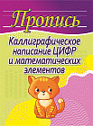 Каллиграфическое написание цифр и математических элементов
