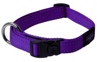 Ошейник для собак