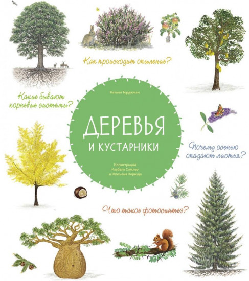Деревья и кустарники