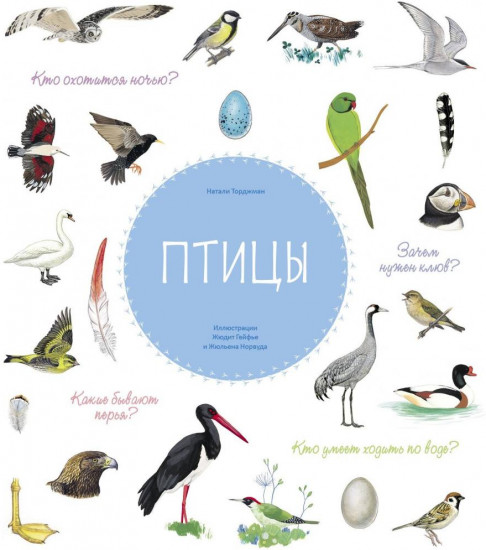Птицы