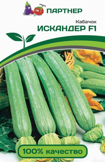 Кабачок «Искандер»