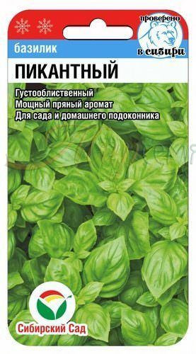 Базилик «Пикантный»