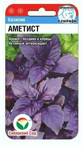 Базилик «Аметист»