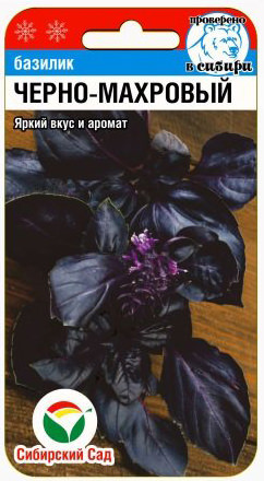 Базилик «Черно-махровый»