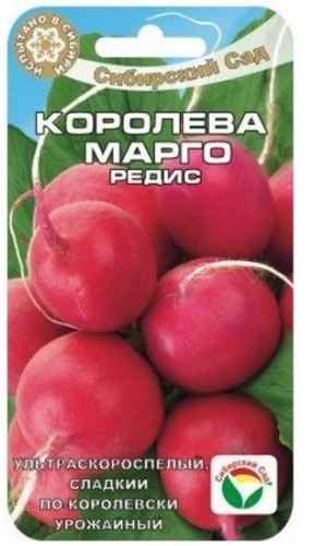Редис «Королева Марго»