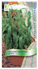 Семена. Эвкалипт лимонный «Цитрус»