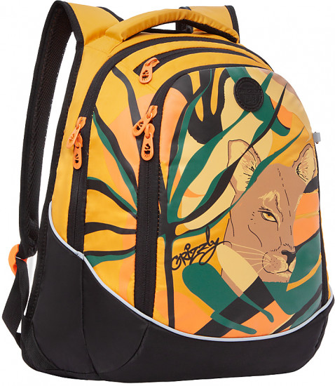 Рюкзак молодежный