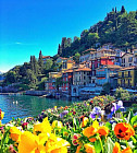 Картина по номерам «Цветы на набережной»