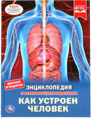 Энциклопедия «Как устроен человек»