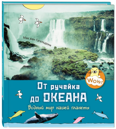 От ручейка до океана