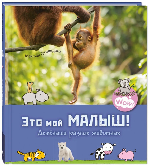 Это мой малыш! Детёныши разных животных