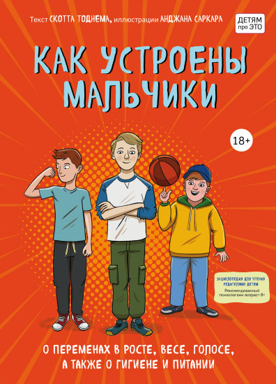 Как устроены мальчики