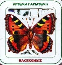 Насекомые  | Крошки-гармошки