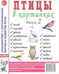 Птицы в картинках