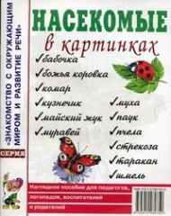 Насекомые в картинках