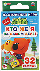 Игра настольная развивающая «Кто же я на самом деле?»