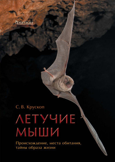 Летучие мыши. Происхождение, места обитания
