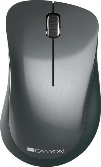 Мышь беспроводная Сanyon CNE-CMSW11B