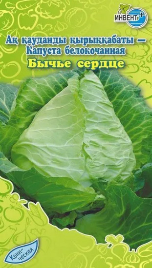 Капуста белокочанная «Бычье Сердце»