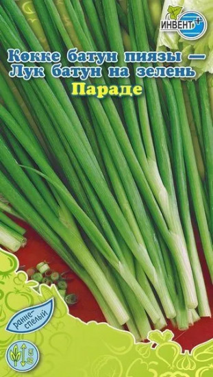 Лук батун «Параде»