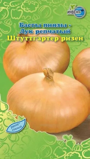 Лук репчатый «Штуттгартер Ризен»